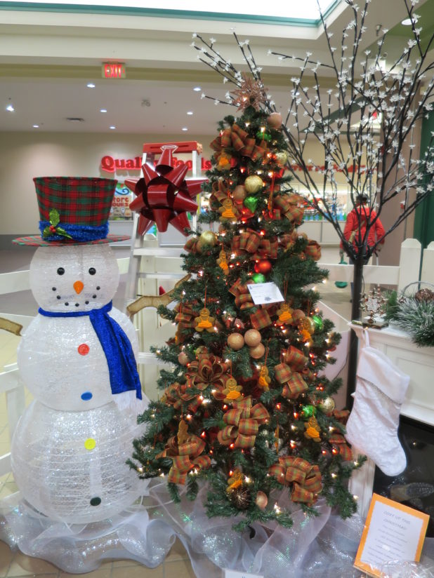 Driftwood Mall Christmas 2015 074