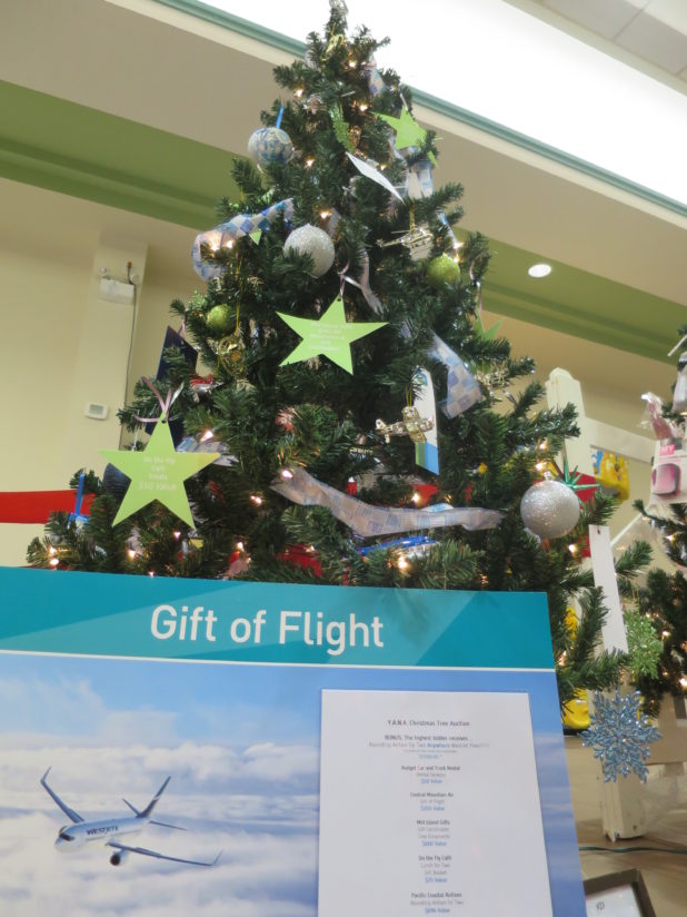 cvac-gift-of-flight-2016